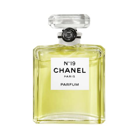 chanel no 19 perfume|where to buy chanel 19.